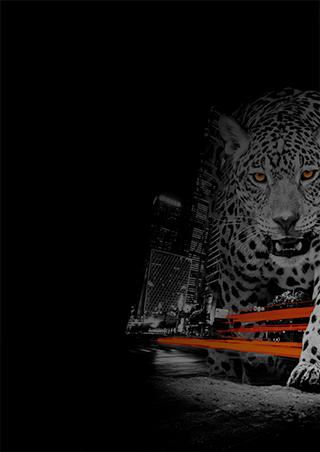 Kapumotor Bolt - Motors for Gates Kft.